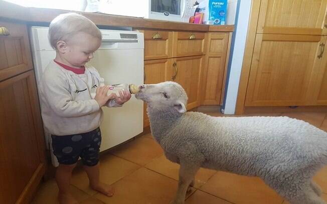 Aurora dando mamadeira a Pikelet