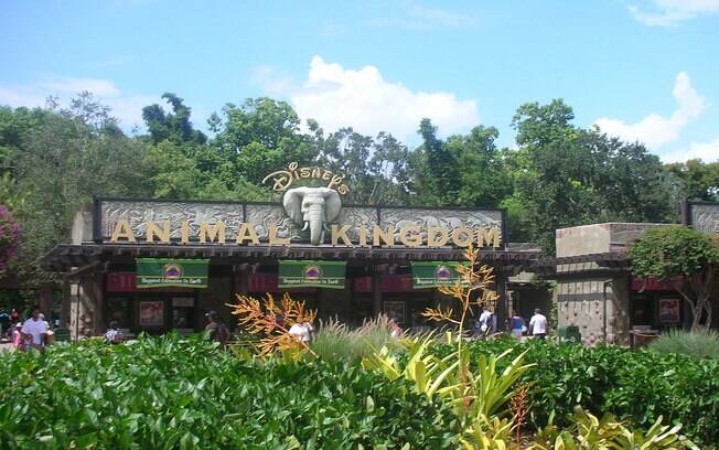 O parque temático Animal Kingdom, onde aconteceu o acidente