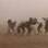 Esta imagem mostra uma tempestade de areia numa vila semi-nômade no Sudão. O norueguês Johnny Haglund, recebeu uma comenda especial na categoria elementos naturais. Foto: Johnny Haglund / www.tpoty.com