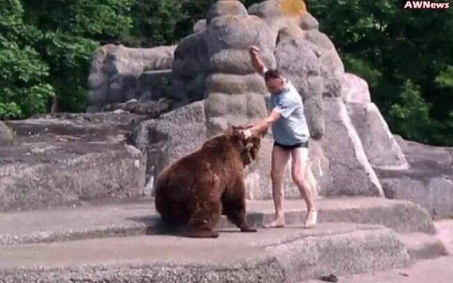 Homem aparentemente bateu na ursa fêmea após invadir seu espaço em zoo da Polônia