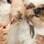 Há até linhas especiais de esmaltes para pets, de secagem rápida e atóxicos. Foto: Amana Salles/Fotoarena