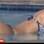Robertha exibiu suas curvas na piscina. Foto: Reprodução
