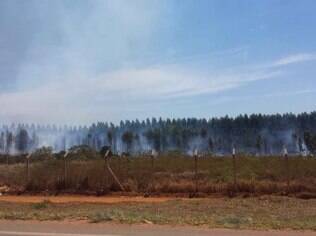 Incêndio no aeroporto de Capelinha queimou cerca de 1,8 hectare de vegetação.