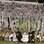 Torcida santista fez festa à la argentina com chuva de papéis na Vila Belmiro. Foto: AE