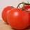 Bem como o tomate. Os únicos legumes que fogem à regra é a beterraba e a cenoura. Foto: Getty Images