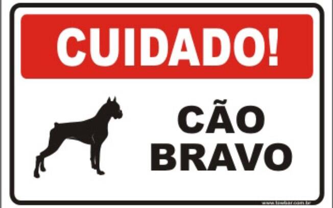 Cães bravos também podem e devem ser adestrados