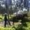 Homens e burros trabalham em parceria e formam duplas fixas. Quando o funcionário entra em férias, o animal também tem direito a descanso. Foto: Roberta Malta