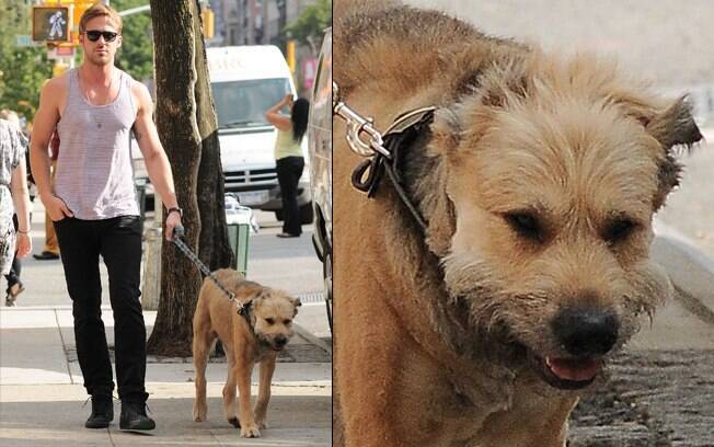Ryan Gosling costuma levar seu cão para almoçar em Feels NoHo, Manhattan