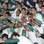 Palmeiras comemora conquista da Copa do Brasil pela segunda vez. Foto: Gazeta Press