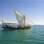 Aventura é realizada em barcos tradicionais nas águas do Golfo Pérsico. Foto: Divulgação