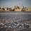 Pedaços de gelo são vistos no Rio Delaware, na Filadélfia (8/1)
. Foto: AP