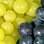 A uva também é aliada, seja o suco ou o vinho, desde que em doses controladas. Foto: Getty Images