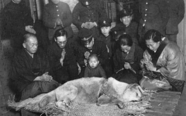 Hachiko antes de ser enterrado, 1935.