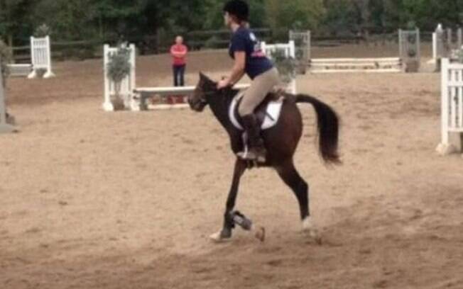 Olha esse cavalo.