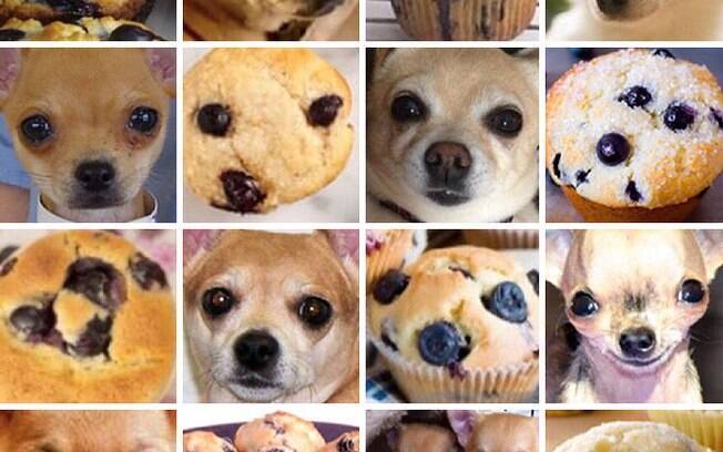 Cachorro ou bolinho