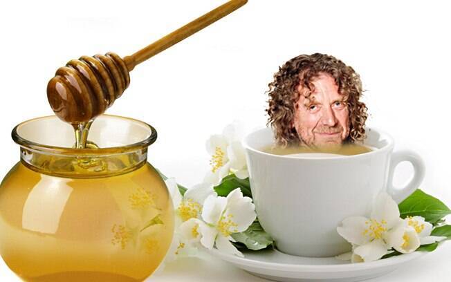 Robert Plant troca as bebidas alcoólicas por um aparelho de chá com muitas opções de ervas, uma jarra de mel e garrafas de água Fiji