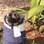 Adaptações como o andador feito de vaso de violeta com rodinhas devolvem a mobilidade a animais debilitados. Foto: Divulgação
