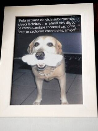 Imagem do cão de um amigo de Jonas que teve cerimônia de sepultamento feita pelo pastor