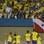 Comemoração após o gol de empate do Brasil. Foto: Mowa Press