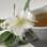 Chá branco: rico em catequina, poderoso antioxidante. A substância ainda fortalece o sistema imunológico. Foto: Thinkstock/Getty Images