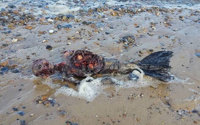 Publicação sobre suposta sereia encontrada em praia na Inglaterra foi compartilhada mais de 22 mil vezes em quatro dias