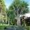 Projeto do jardim deveria seguir paralelo à construção da casa, e não depois. Foto: Divulgação