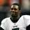 Michael Vick, que joga pel Eagles na NFL, foi preso em 2007 e cumpriu pena por quase dois anos por organizar brigas de cachorro. Foto: AP