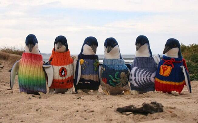 Animais de casaquinho