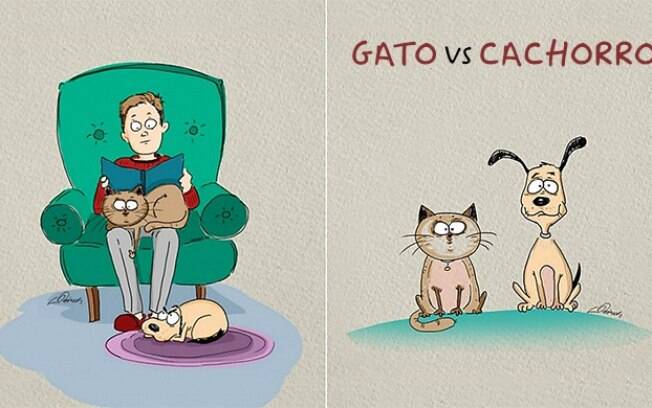 Gato dorme no colo e o cachorro no chão.