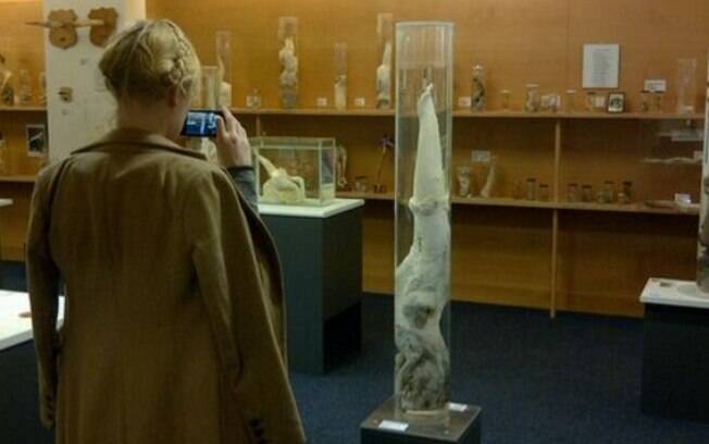 Museu conta com uma loja especial de lembrancinhas que vendem desde camisinhas personalizadas a miniatura de pênis