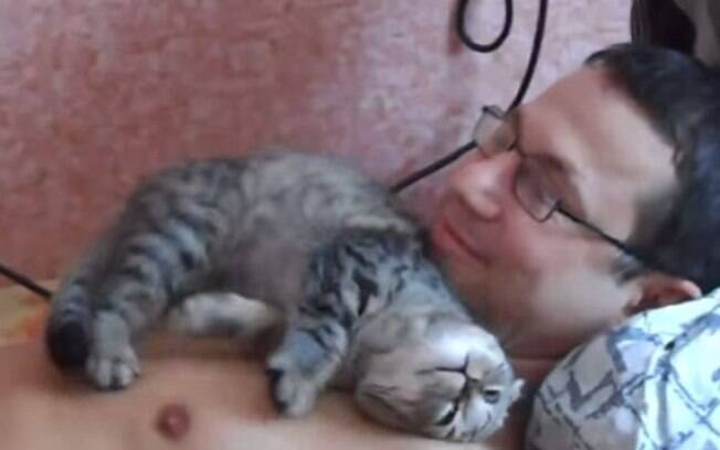 Gatos que gostam de dormir em cima das pessoas