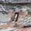 Vista áerea das obras do Corinthians em imagem capturada no início de abril 2012. Foto: Divulgação Odebrecht