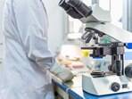 Cientistas estudam antibiótico com chances de evitar problemas da zika em feto