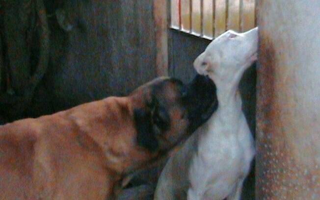 Marianna e Brad