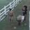 Simone Sampaio, Penélope Nova e Shayene Cesário sofrem com a vaca Mimosa. Foto: Reprodução