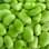 Fava: além de ser uma fonte de proteína vegetal, contém vitaminas do complexo B e minerais como potássio, magnésio, zinco e cálcio. Foto: Getty Images
