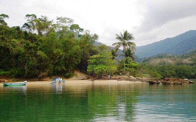 Saco de Mamanguá é um refúgio natural formado por um longo braço de mar que se forma pertinho de Paraty Mirim e se estende por oito quilômetros