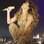 Os looks que Jennifer Lopez irá usar no Brasil. Foto: Divulgação