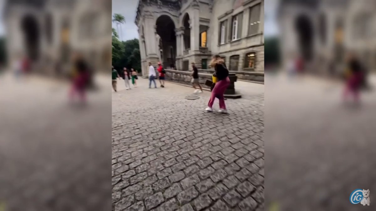 Vídeo: turista sofre tentativa de 'assalto' de macaco no Parque Lage