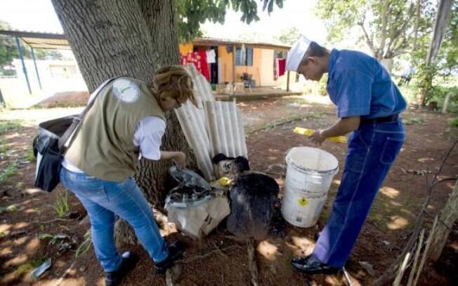Dia Nacional de Mobilização para o Combate ao Aedes aegypti: governo federal tenta encabeçar campanha para minimizar efeitos da epidemia
