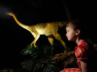 Museu de História Natural de Londres tem acervo de esqueletos de várias espécies de dinossauros