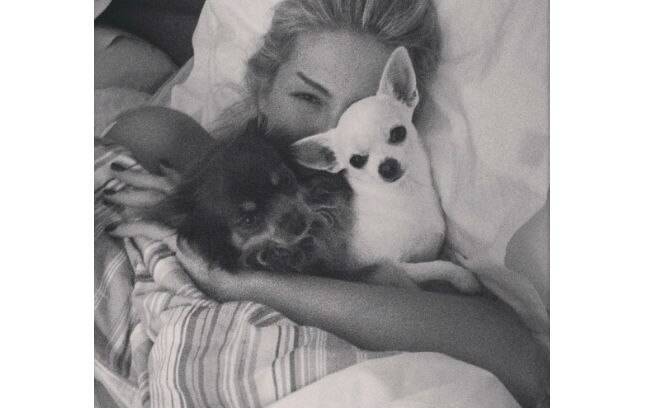 Ana Hickmann mostra no Instagram foto em que aparece ao lado dos seus cachorros  "Bom dia", escreveu a apresentadora na legenda da imagem 
