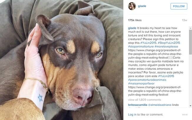 Gisele apoia a causa animal e Lua  presena garantida no Instagram @gisele