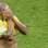 Mas a Copa de 2006 acabou na derrota para a França, nas quartas de final. Adriano ainda exibia boa forma naquela época. Foto: Getty Images