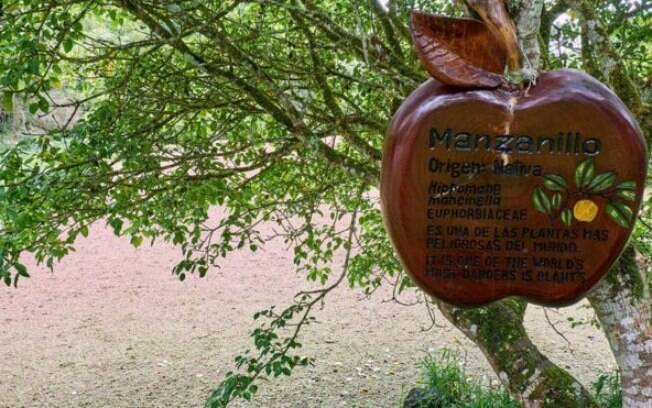 Placa alerta sobre perigo: