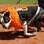 Esse boston terrier foi todo paramentado na parada, com roupinha do San Francisco Giants e colar de tirinha de papel. Foto: AP Photo/Eric Risberg