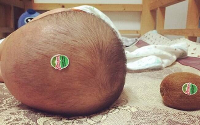 Cabeça de Kiwi