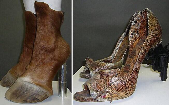 Bodas de namoro tulipa : Site De Relacionamento Combine : Preciso conhecer  novas pessoas : Lucasalvesperito