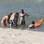 Giovanna Antonelli exibe boa forma em dia de praia com a família. Foto: Photo Rio News