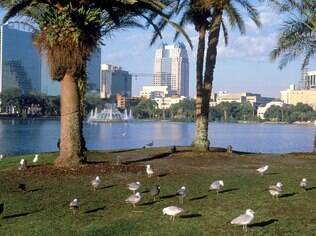 Aproveite Orlando além dos parques de diversões